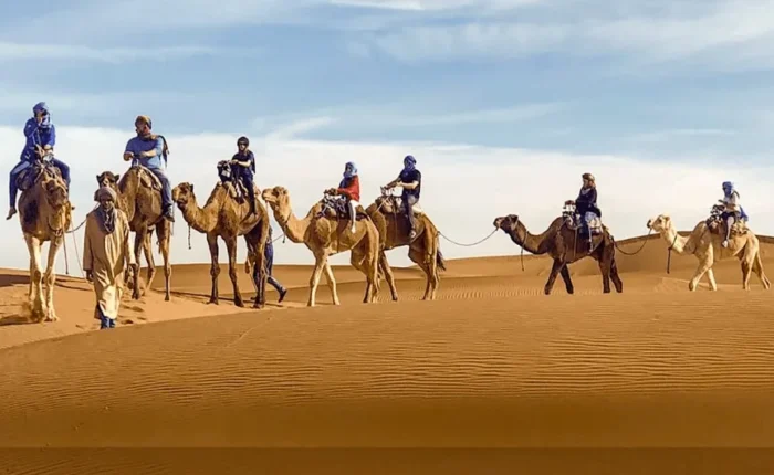 A group of travelers riding camels across the sandy dunes of the Moroccan desert during their trip.