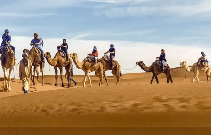 A group of travelers riding camels across the sandy dunes of the Moroccan desert during their trip.