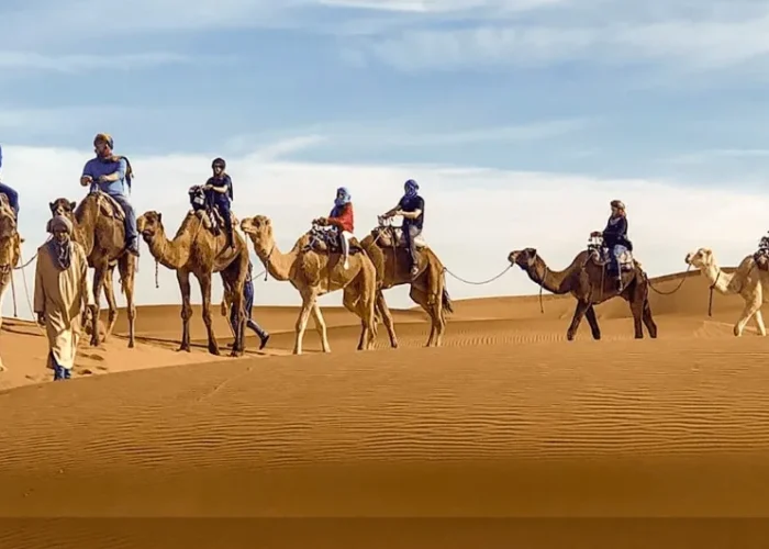 A group of travelers riding camels across the sandy dunes of the Moroccan desert during their trip.