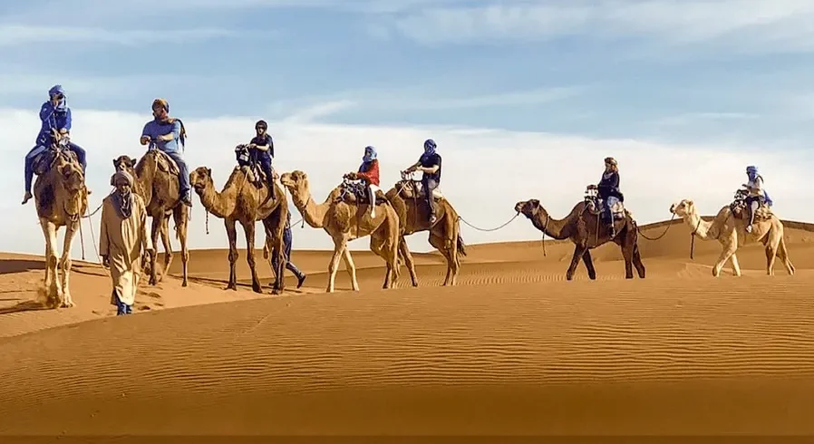 A group of travelers riding camels across the sandy dunes of the Moroccan desert during their trip.