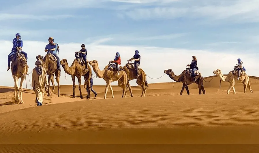 A group of travelers riding camels across the sandy dunes of the Moroccan desert during their trip.