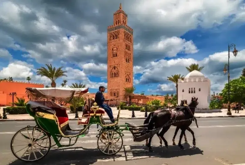 A horse and carriage in front of a clock tower, promoting guided trips to Morocco.