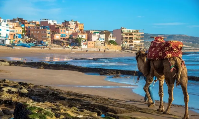 A camel walks along the beach, adorned with a red blanket, promoting a Morocco travel agency experience.