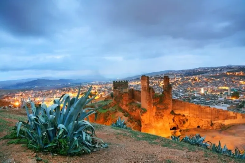A distant view of a Moroccan city, showcasing its unique architecture, ideal for guided trips to Morocco.