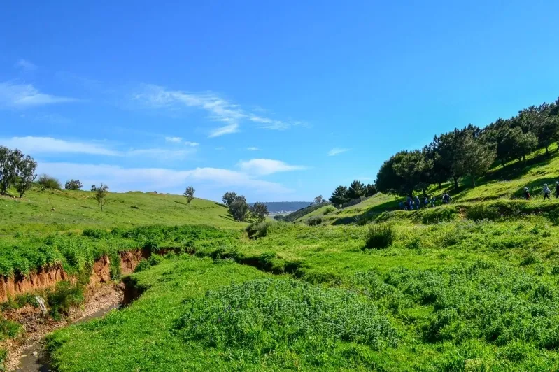 A lush green valley with a stream flowing through it, showcasing the natural beauty of Morocco in the best visiting month.