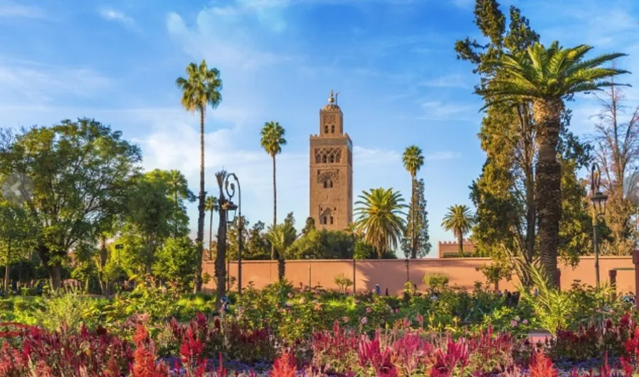 Lush garden of a mosque in Marrakech, Morocco, featuring vibrant plants and serene pathways, ideal for reflection.
