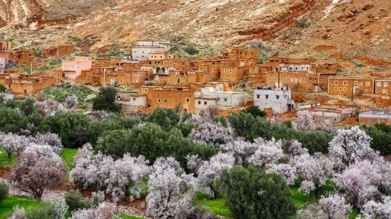 A picturesque desert village adorned with trees and flowers, ideal for visiting Morocco in spring.