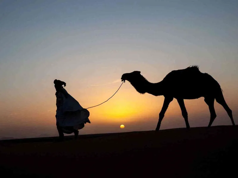  A woman walks alongside a camel at sunset in a luxury camp in the Moroccan desert, casting long shadows on the sand. 