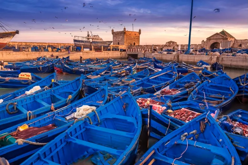 Blue fishing boats in a harbor at sunset, casting reflections on the water, highlighting a serene evening atmosphere.