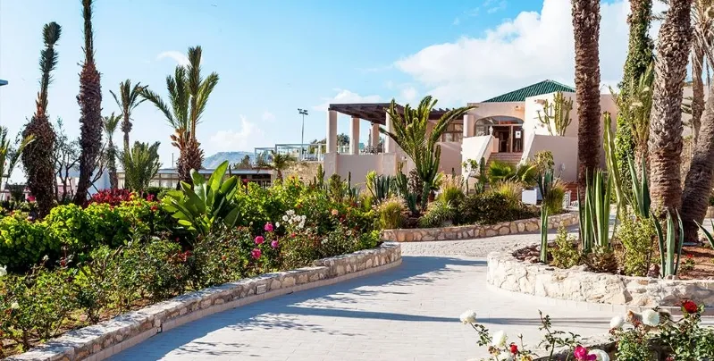 A scenic walkway leads to a resort surrounded by palm trees and cacti under a clear blue sky.