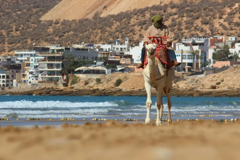 A man rides a camel along the beach, with the ocean in the background, near the luxury camp Merzouga.

