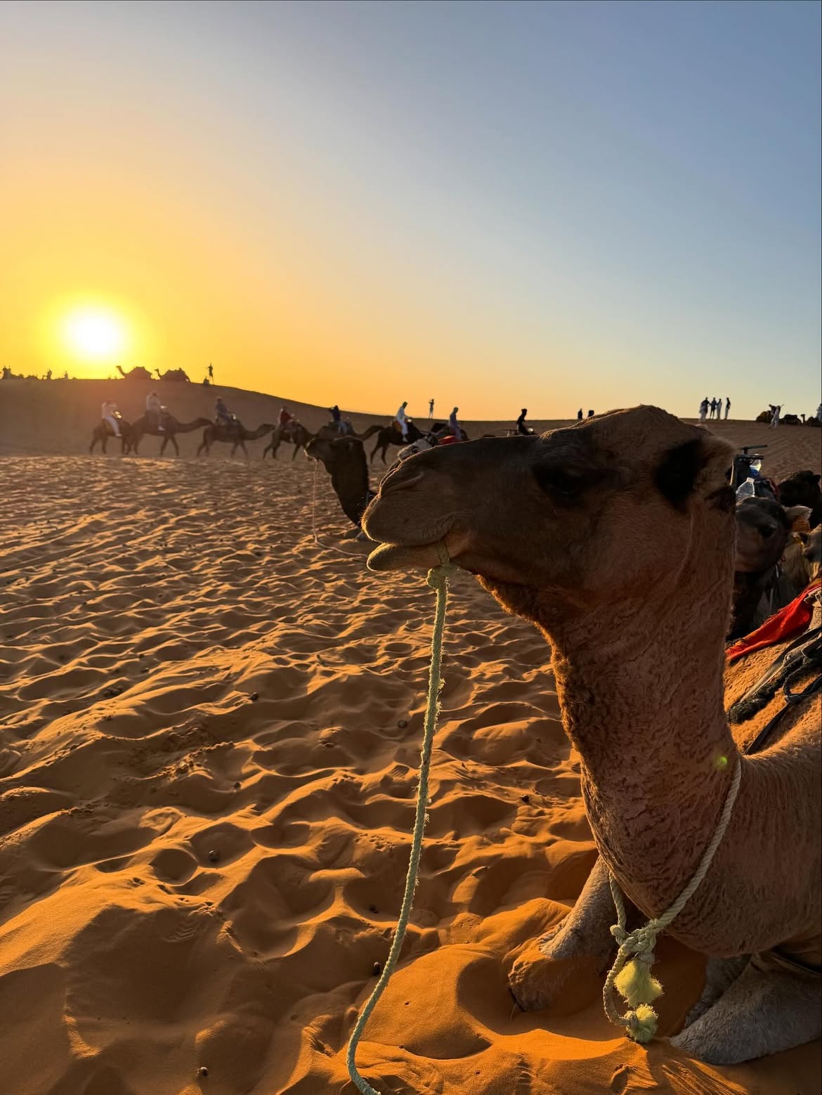 Private sunset camel trek in the Sahara Desert Morocco departing from a luxury desert camp