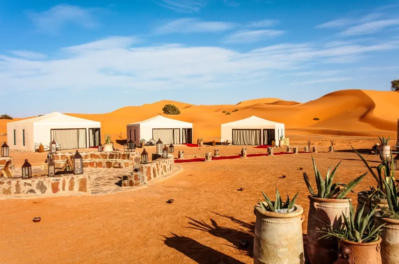 A luxury desert camp in Merzouga, Morocco, featuring tents surrounded by cactus plants under a clear blue sky.
