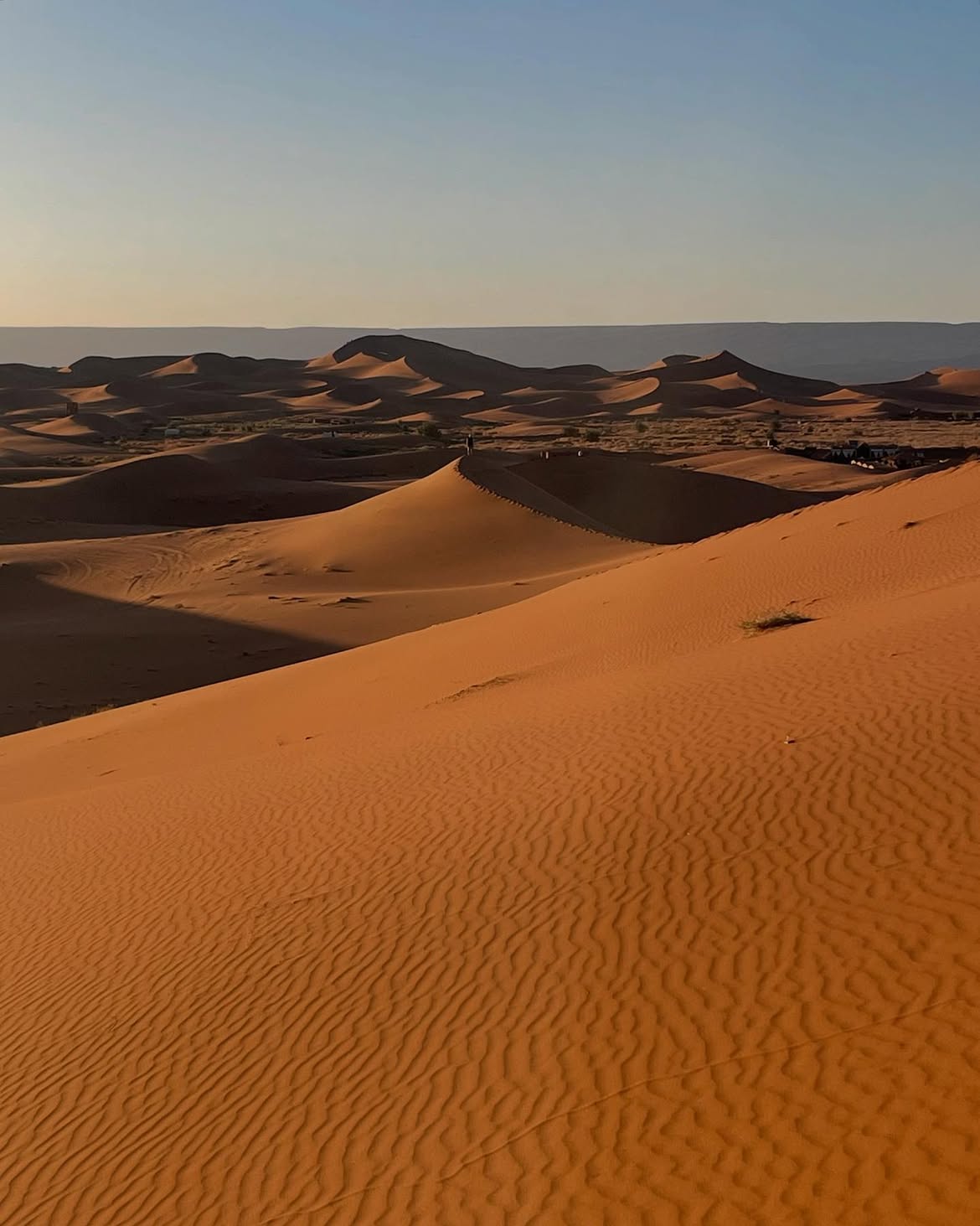 Camels resting below the dunes at Erg Chigaga