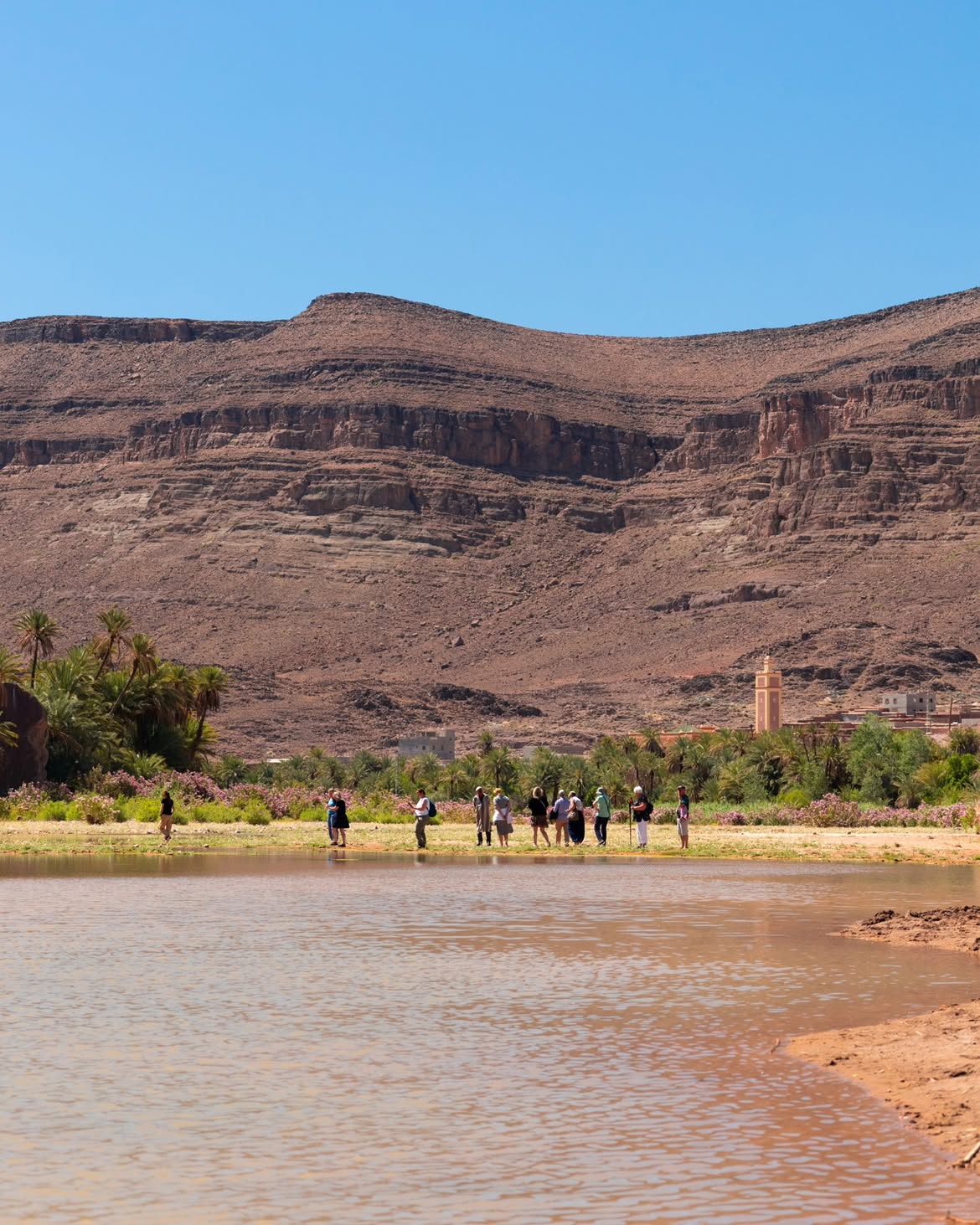 Palm groves of Fint Oasis in its red rock canyon south of Ouarzazate