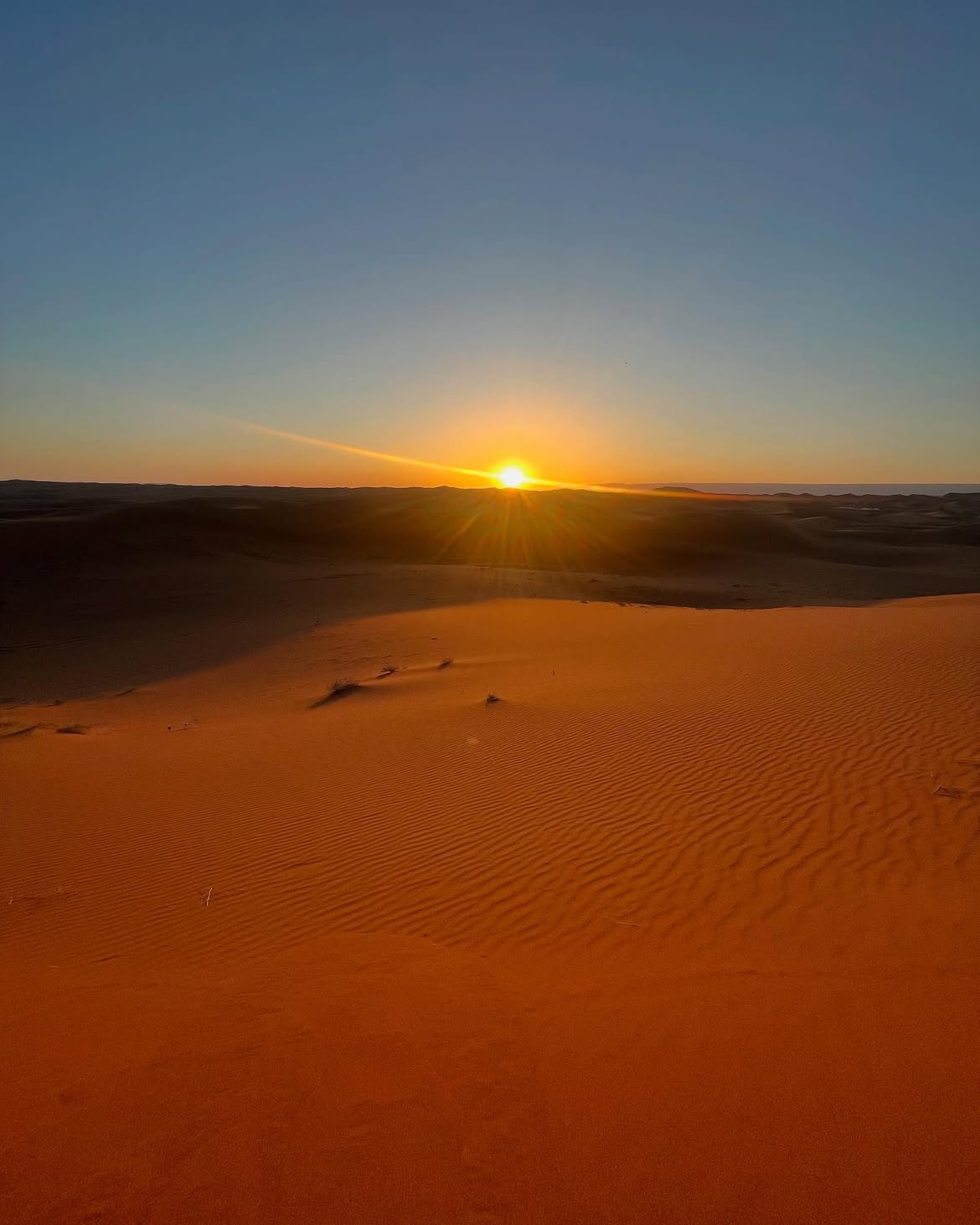 Camel trek climbing the Erg Chigaga dunes at sunset