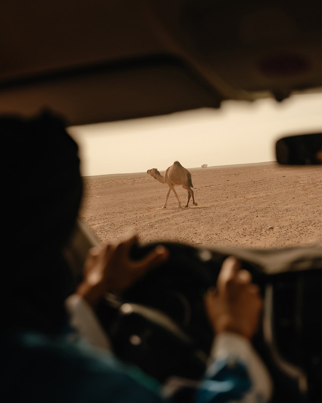 Off road piste across the desert between M'Hamid and Erg Chigaga