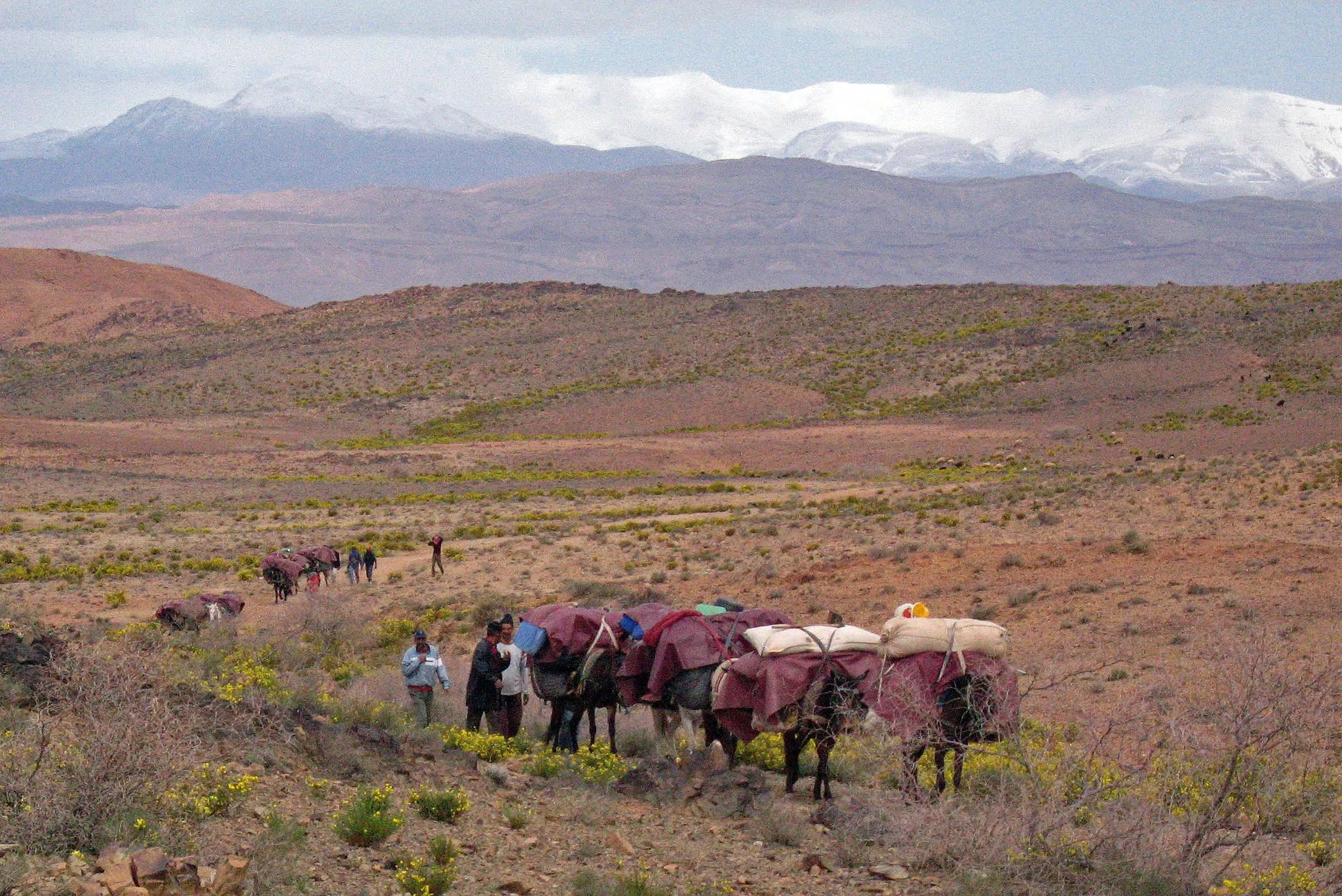 Nomadic caravan travelling through the Moroccan mountains