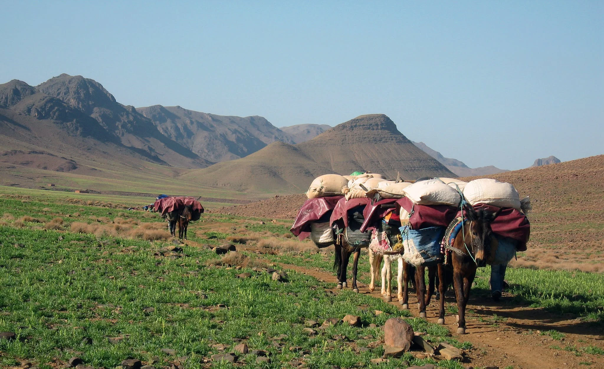 A nomadic caravan crossing the Moroccan mountain landscape at distance
