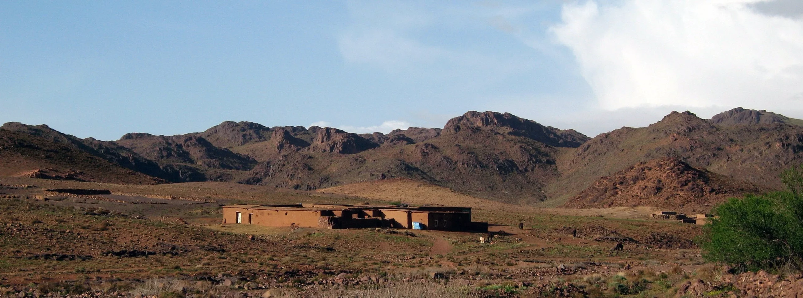 Nomadic settlement in a Moroccan mountain landscape with tents and grazing land